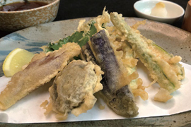 季節料理